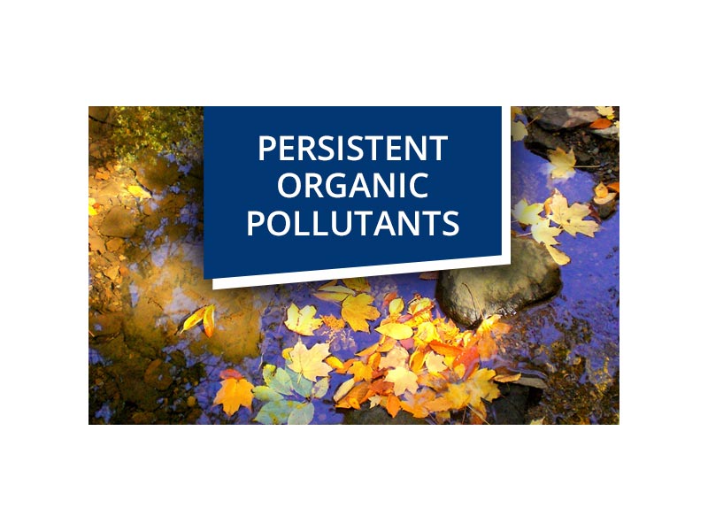 persistent-organic-pollutants-news