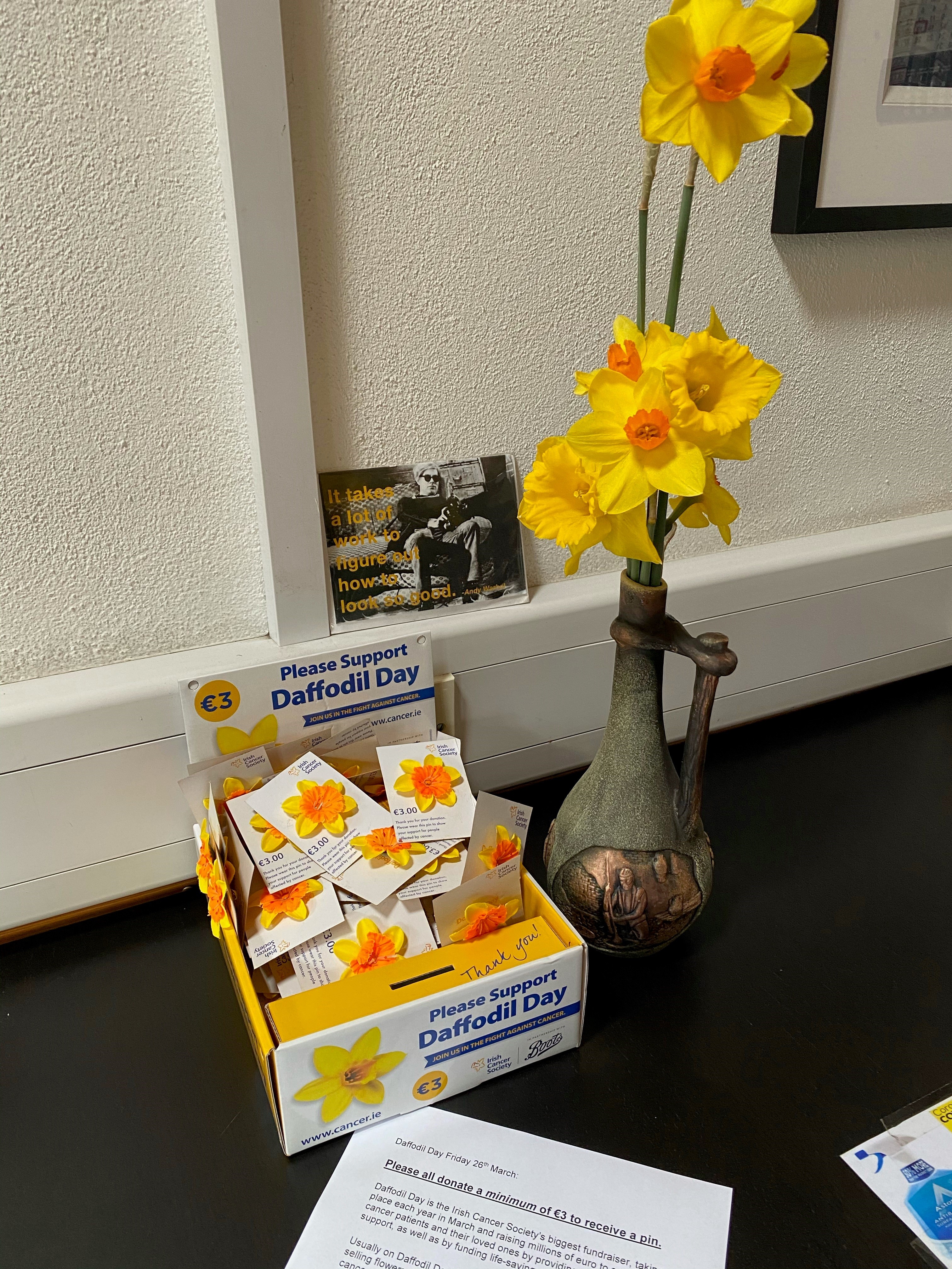 daffodils-pins